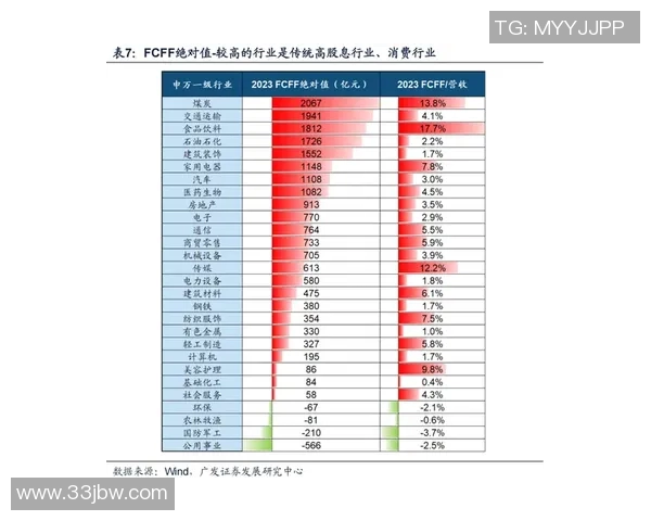 武汉排球队的运营模式与发展策略深度解析