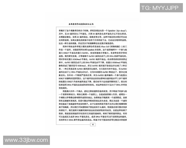 焦泊乔的成长之路与未来展望：从学术到实践的全方位探索与突破